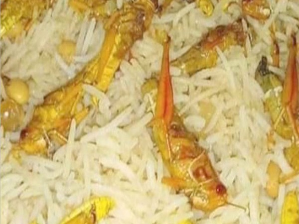 Biryani made with locusts in Sindh, Pakistan