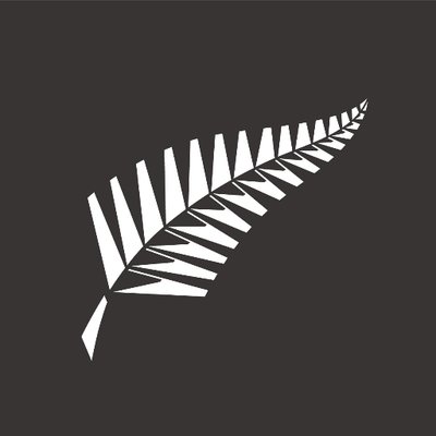 New Zealand Cricket logo (courtesy- BlackCaps Twitter)