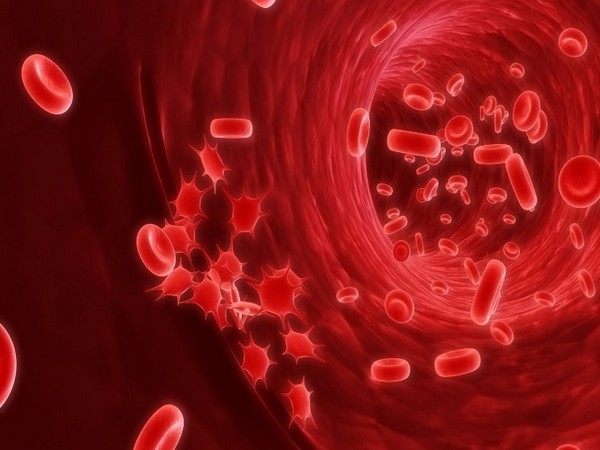 Scientists identify new possibility for untreatable blood cancer