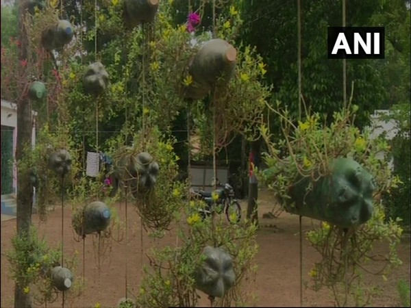 Visual of the garden in Midnapore, West Bengal