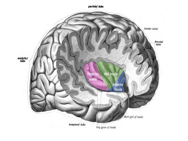 The team will conduct future research to examine how well an MRI can predict the risk of psychotic disorders and whether prevention treatments can 'normalize' MRI scans.