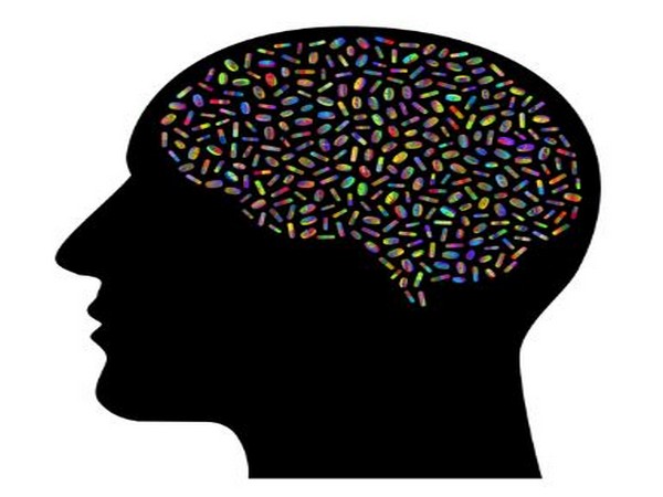 Different classes of neurons control positive and negative motivations