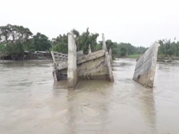 A visual of the collapsed bridge in Goabari village of Bihar's Kishanganj district. (Photo/ANI) 