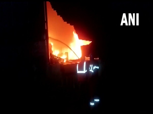 Visual of fire in Visakhapatnam warehouse (Photo/ANI)