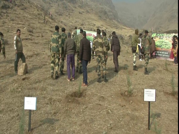 A visual of the tree plantation drive organised by BSF in Jammu and Kashmir. 
