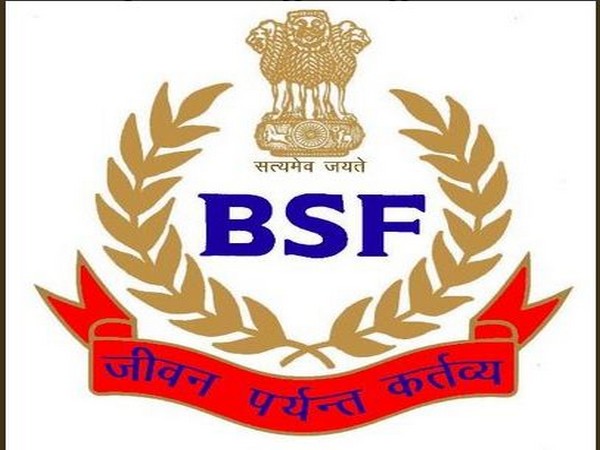 BSF logo 