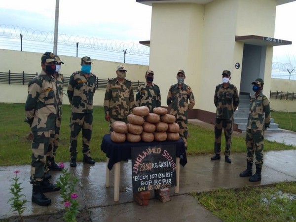BSF seizes 31.5 kg Ganja, 360 bottles Phensedyl cough syrup being smuggled to Bangladesh. (Photo/ANI) 
