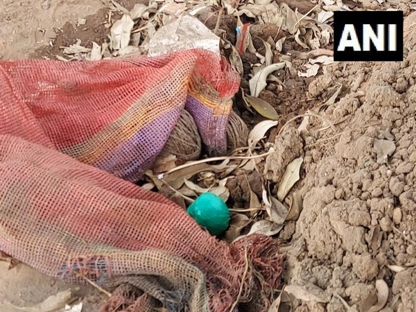 Bombs recovered in West Bengal on Tuesday. (Photo.ANI)
