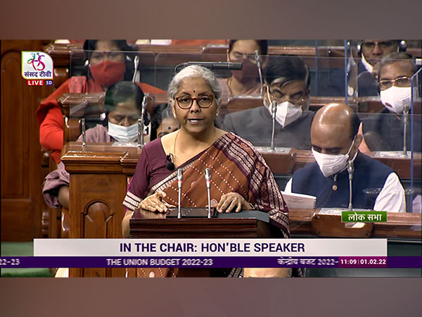 Union Minister for Finance Nirmala Sitharaman during Budget presentation in Parliament. (ANI/photo)