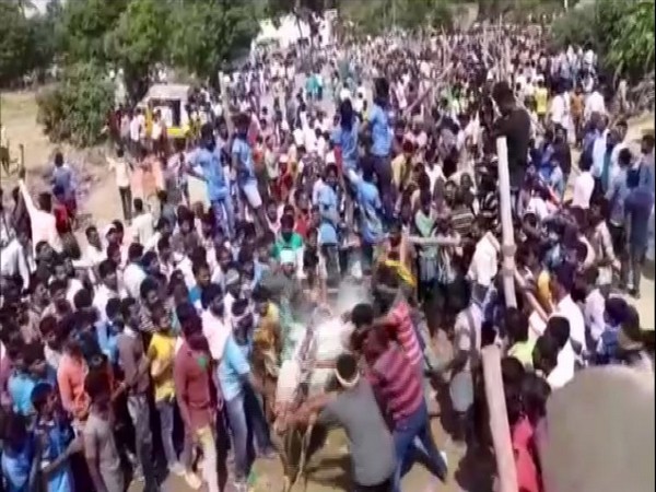 Screenshot A bull takes a ride at Mylaru festival in Andhra Pradesh