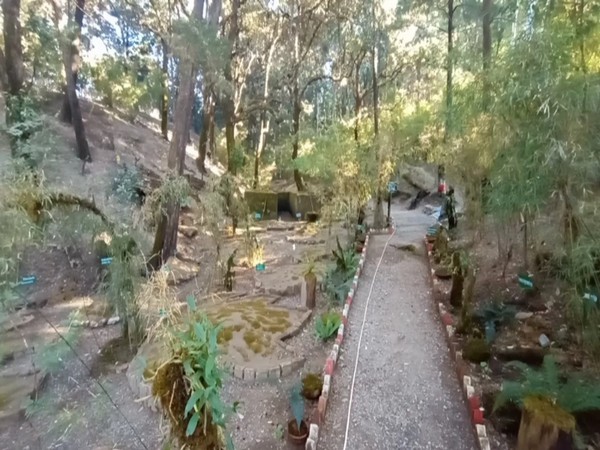Visual from the moss garden in Nainital (Photo/ANI)