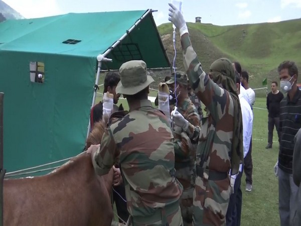Indian Army personnel organising an Veterinary  Camp in Kupwara. [Photo/ANI]