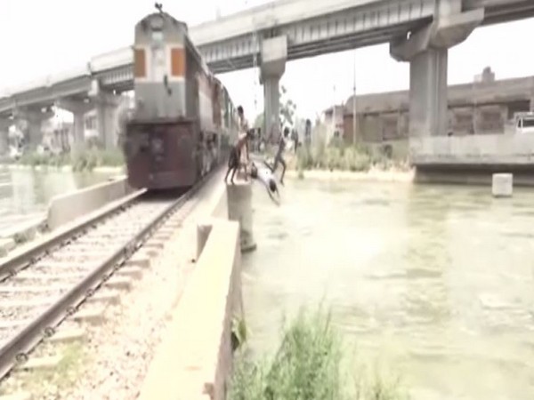 Boys jumping from railway bridge over Gill canal in Ludhiana, Punjab.