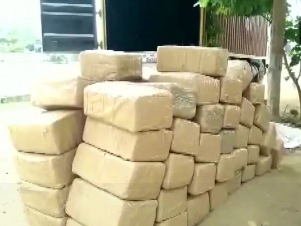 Visakhapatnam Police held two people with over 600 kg cannabis on Friday. (Photo/ANI)