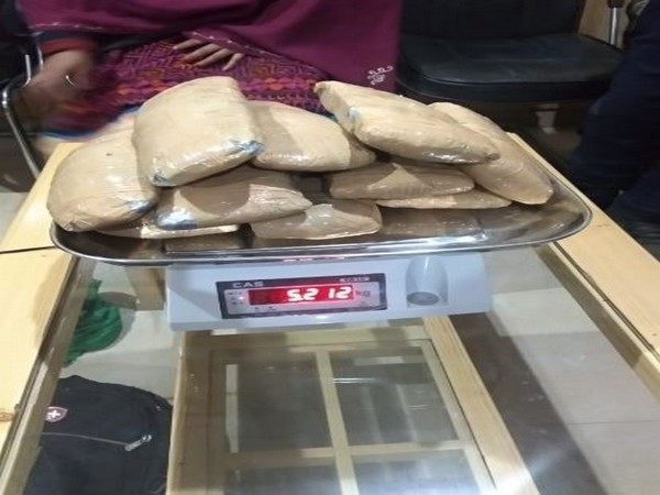 Cannabis seized from the Nepali drug peddlers in Kullu. Photo/ANI
