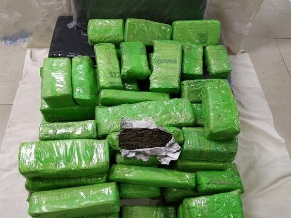 Two Assam-based drug peddlers were detained and cannabis weighing about 133 kg was recovered. Photo/ANI 