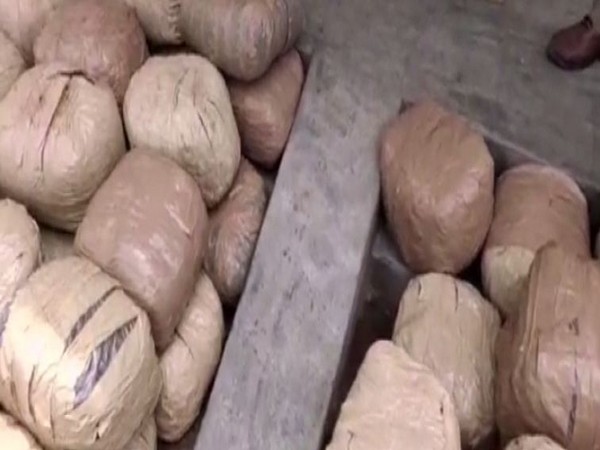 The police found a huge amount of cannabis that was apparently stored in a hidden cabin. (Photo: ANI)