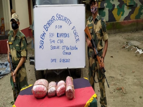 BSF personnel with the seized cannabis in Assam. 