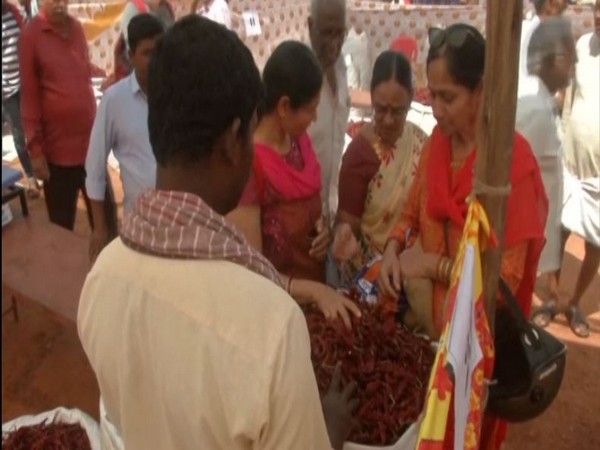 Chilly Mela at Hubli Moorusavir Math