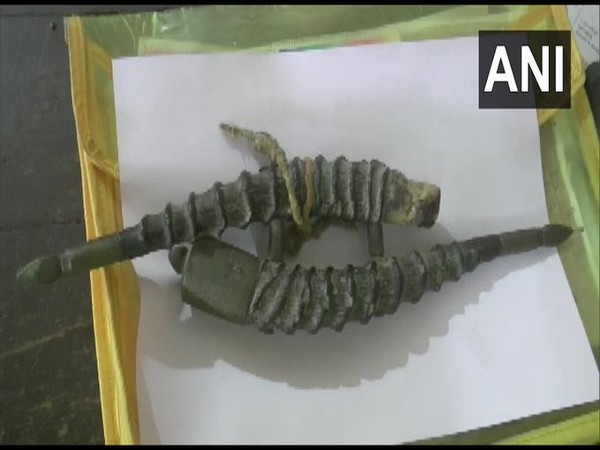 A visual of the recovered Chinkara horns. (Photo/ANI)