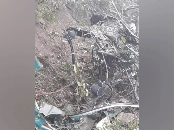 Two pilots died in Indian Army Cheetah helicopter crash in Bhutan on Friday