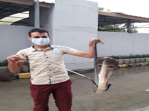 A visual from the spot where the Cobra was rescued in Delhi. 