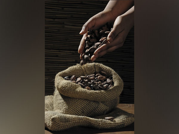 Cocoa beans
