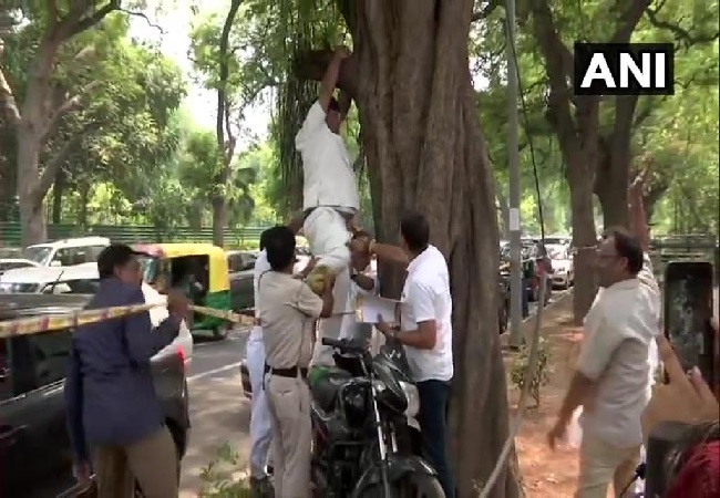 Congress worker Hanif Khan trying to hang himself from a tree outside Congress party's headquarters in New Delhi on July 2. Photo/ANI