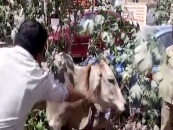 Visual from the spot. Photo/ANI