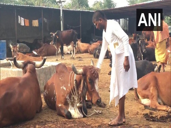 A Sadhu at Gopal Gaushala, cow-shelter in Ayodhya. (Photo/ANI)