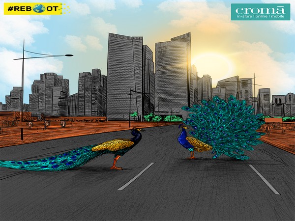 Croma Reboot