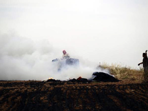 NTPC to issue tenders for farmers to buy farm stubble