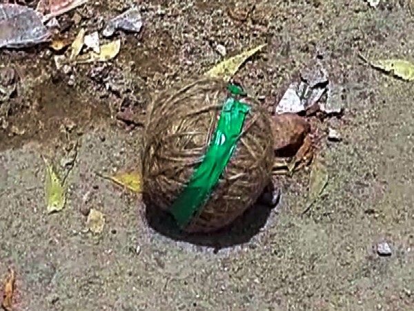 Representative Image