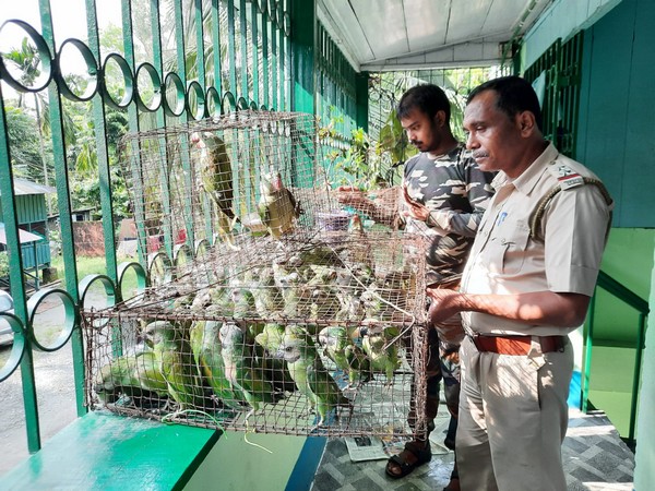 Visuals after the raid. (Photo/ANI)