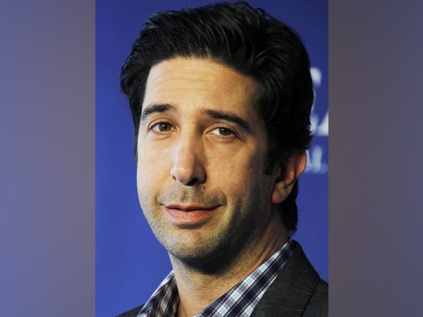 Actor David Schwimmer 