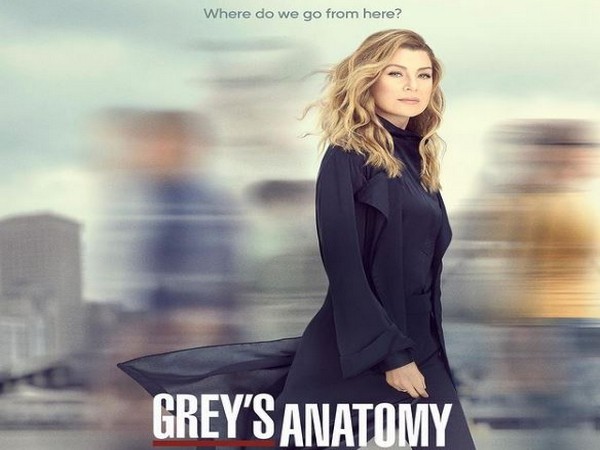 oster of 'Grey's Anatomy' (Image courtesy: Instagram)