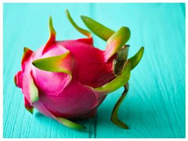 Visual of Kamalam (Photo/PIB)