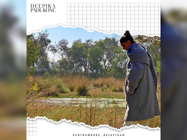 A glimpse of Deepika Padukone's Ranthambore National Park trip (Image Courtesy: Instagram)