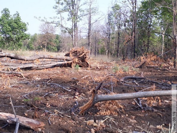 Core Zone of Navegaon-Nagzira Tiger Reserve was allegedly exploited illegally amid the lockdown. [Photo/ANI]