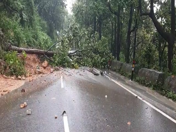 Rajpur to Mussoorie road has been blocked by fallen trees following heavy rainfall in the area. (Photo/ANI)