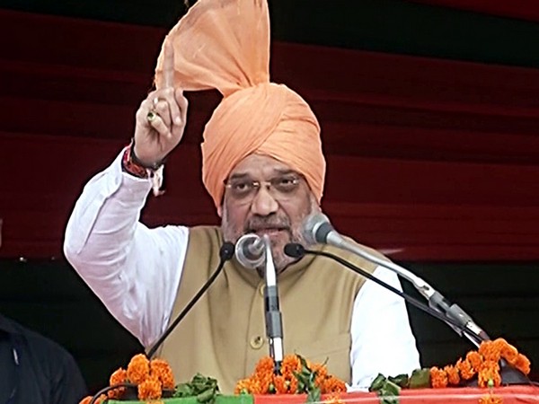 Union Home Minister Amit Shah (File photo)