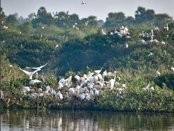 Visual of wetland with flora and fauna shared by Tamil Nadu Chief Minister MK Stalin (Photo credit: Twitter@mkstalin)