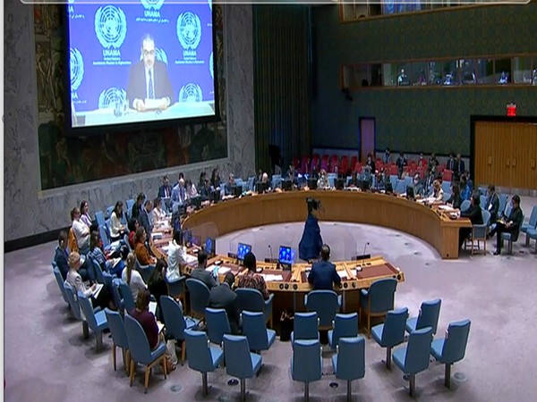 Representative image of United Nations Security Council 
