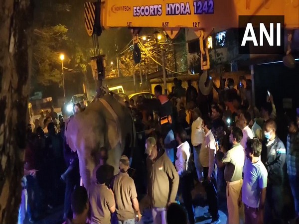 Visual of elephant being rescued in Midnapore (Photo/ANI)