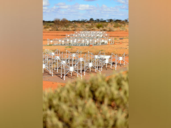 Dipole antennas of the Murchison Widefield Array (MWA) radio telescope (Image Credit: Dragonfly Media.