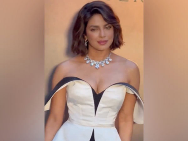 Actor Priyanka Chopra (Image source: Instagram)
