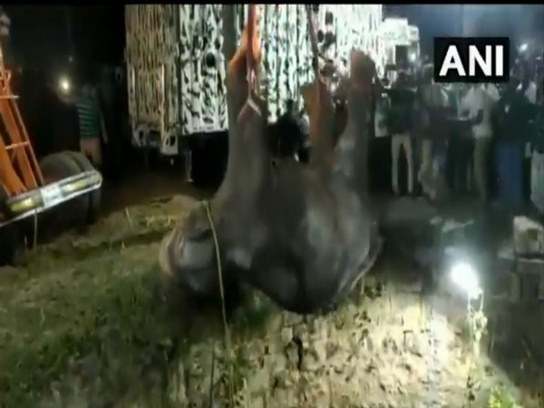 The elephant calf was rescued from the 100-foot well by the fire department. (Photo/ANI)