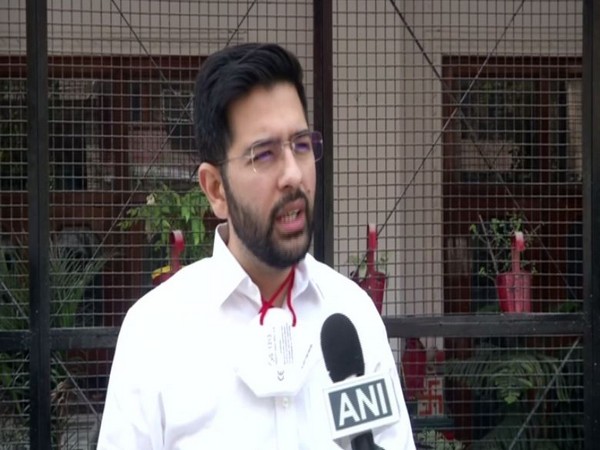Delhi Jal Board Vice Chairman Raghav Chadha (file pic/ANI).