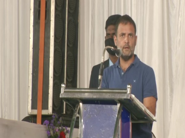 Congress leader Rahul Gandhi (File Photo/ANI)