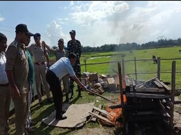 Assam Police destroy huge quantity of drugs in Biswanath (Photo/ANI)